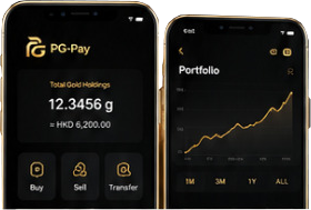 PGPay mobile app concept showing portfolio and gold chart